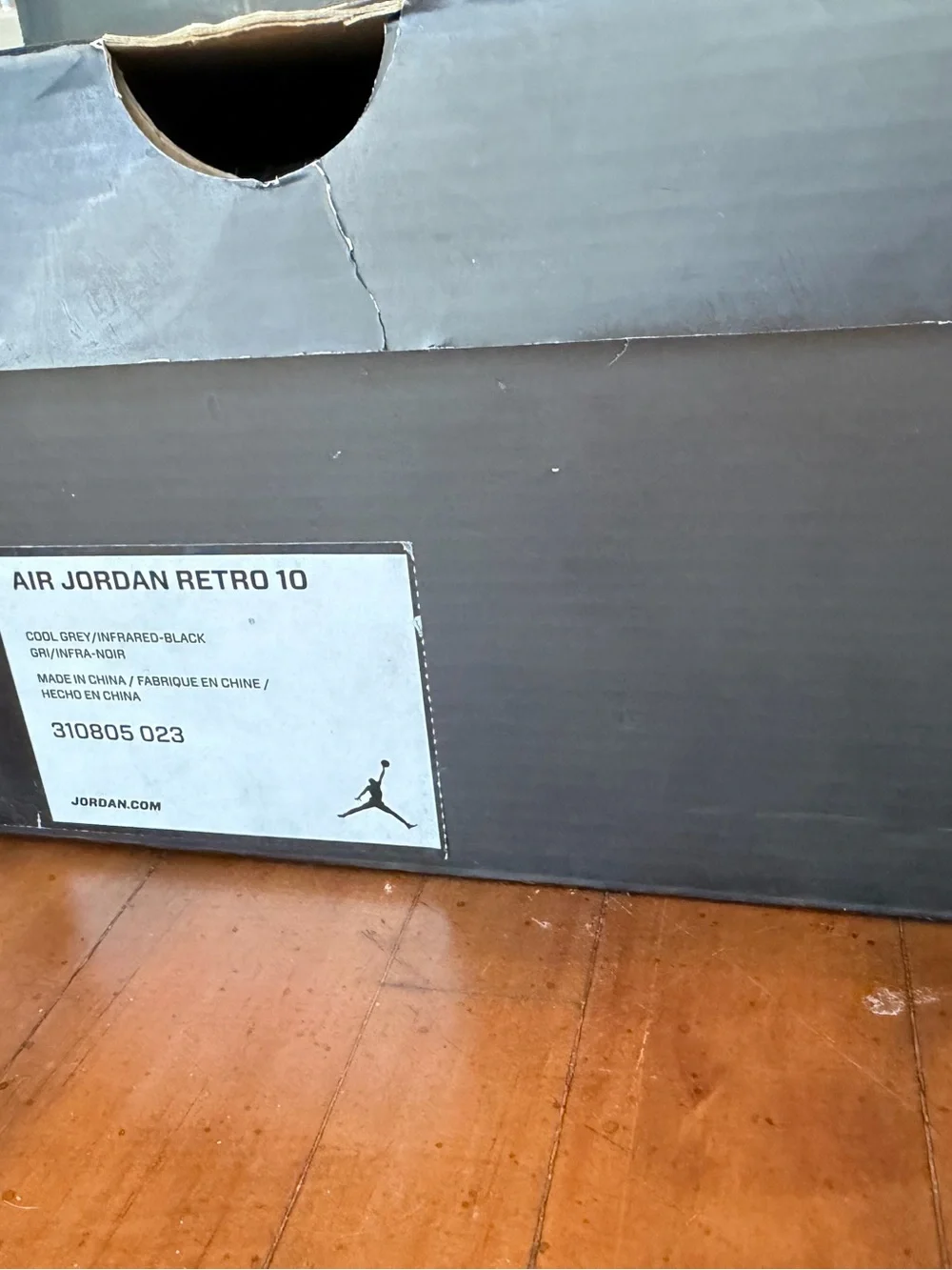 Air Jordan Retro 10 Cool Grey size 12
